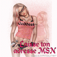 laché vo msn